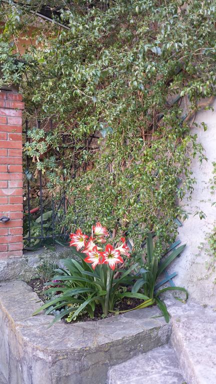 Casa Bouganville Apartment La Spezia